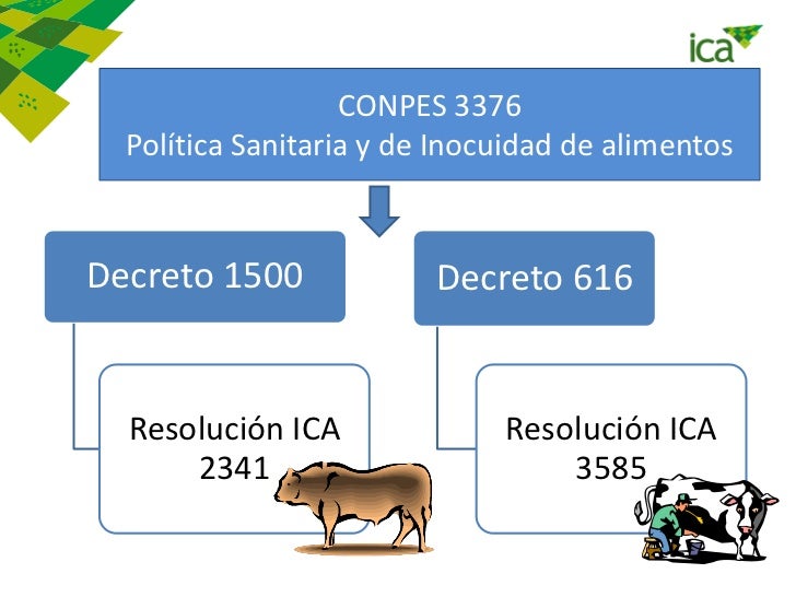 conpes 3376